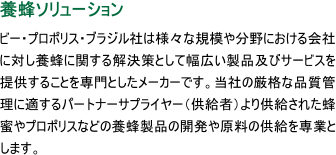 養蜂ソリューション ビー・プロポリス・ブラジル社は様々な規模や分野における会社に対し養蜂に関する解決策として幅広い製品及びサービスを提供することを専門としたメーカーです。当社の厳格な品質管理に適するパートナーサプライヤー（供給者）より供給された蜂蜜やプロポリスなどの養蜂製品の開発や原料の供給を専業とします。